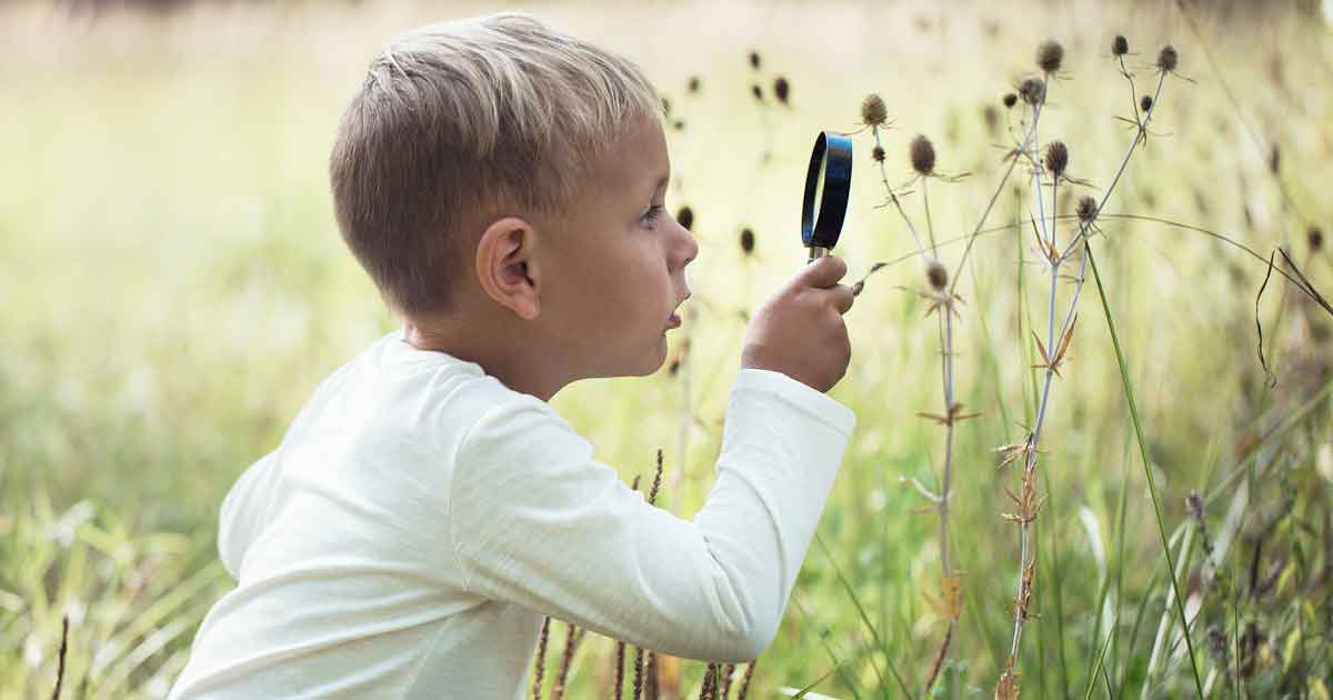 実は知られていない！賢い子に育つ家の秘訣