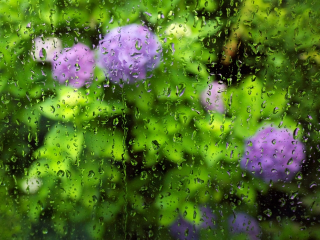 雨音は・・・
